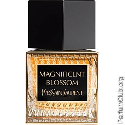 magnificent blossom yves saint laurent отзывы|Altro.